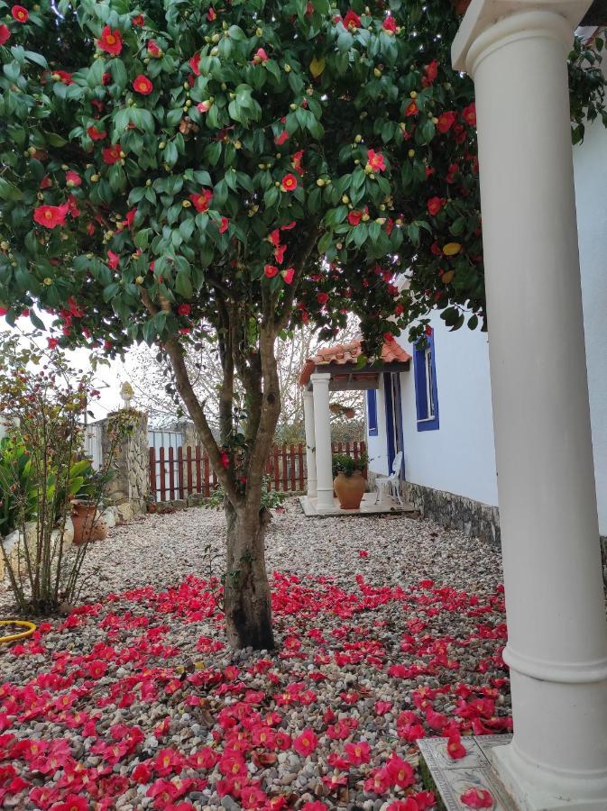 Fazenda Do Marante Vandrarhem Tomar Exteriör bild